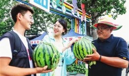 瓜田喜事在线观看,浪漫田园爱情喜剧在线观看攻略